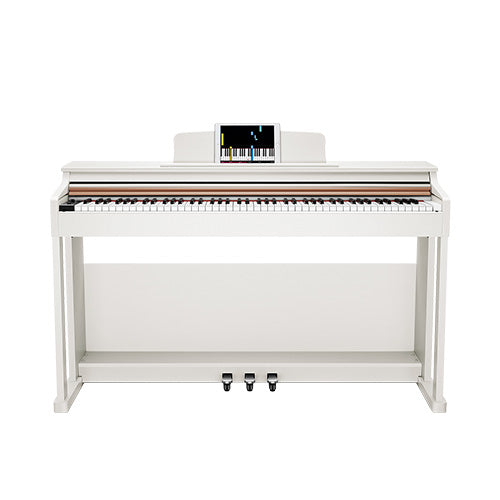 Donner DDP-100