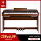 Donner DDP-200 Professional 88 Key Weighted Dynamic Graded Hammer Action Wooden Upright Digital Piano