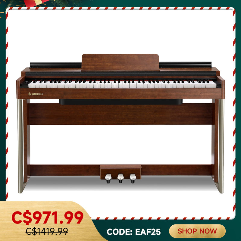 Donner DDP-200 Professional 88 Key Weighted Dynamic Graded Hammer Action Wooden Upright Digital Piano