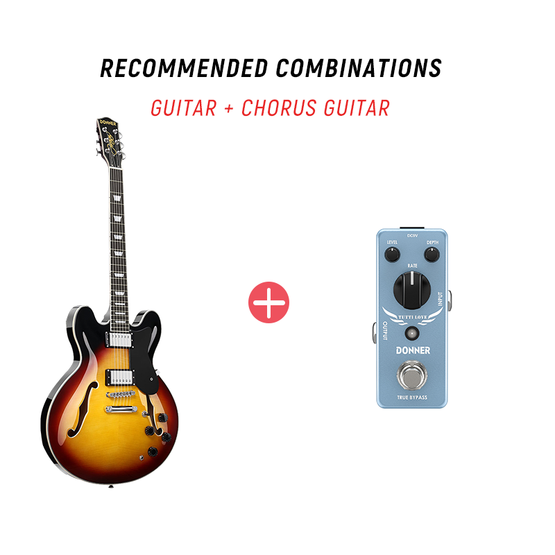 Donner DJP-1000 335 Style Electric Guitar Kit for Jazz Semi-Hollow Body with Dual H Pickups