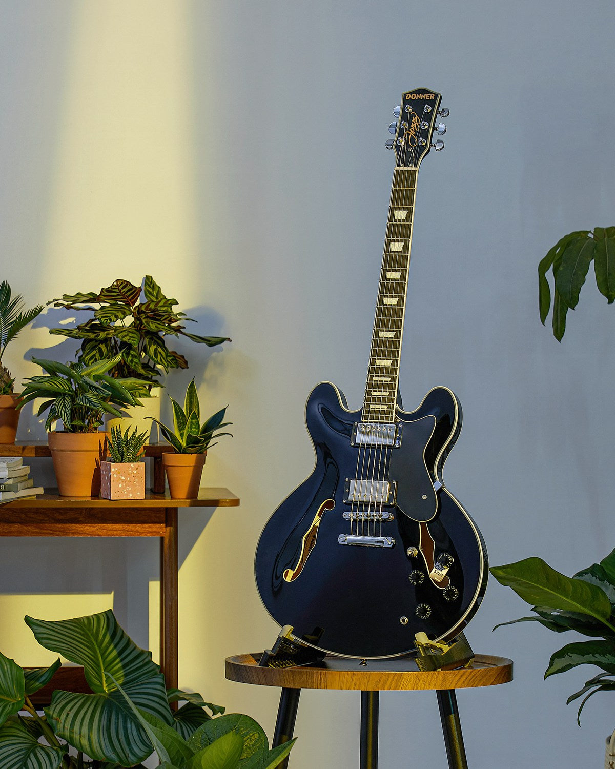 Donner DJP-1000 セミアコ ES335タイプ程度良 DJP-1000 Semi-Hollow Jazz Guitar with Coil-Splitting & H-H