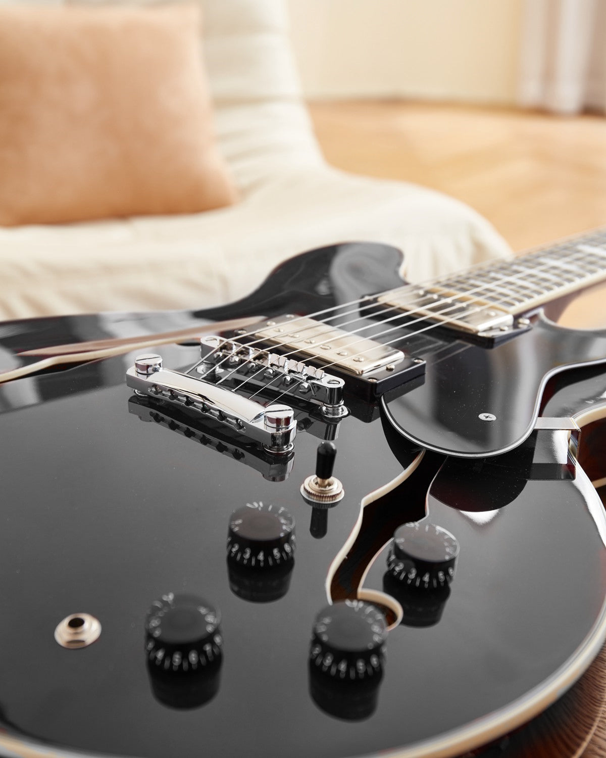 Donner DJP-1000 335 Style Electric Guitar Kit for Jazz Semi-Hollow Body with Dual H Pickups